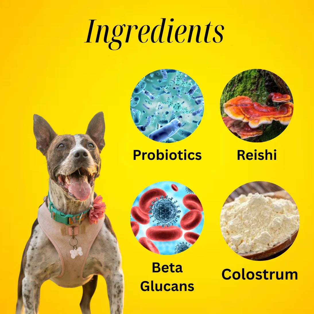 Myco🍁 Lean Mass +