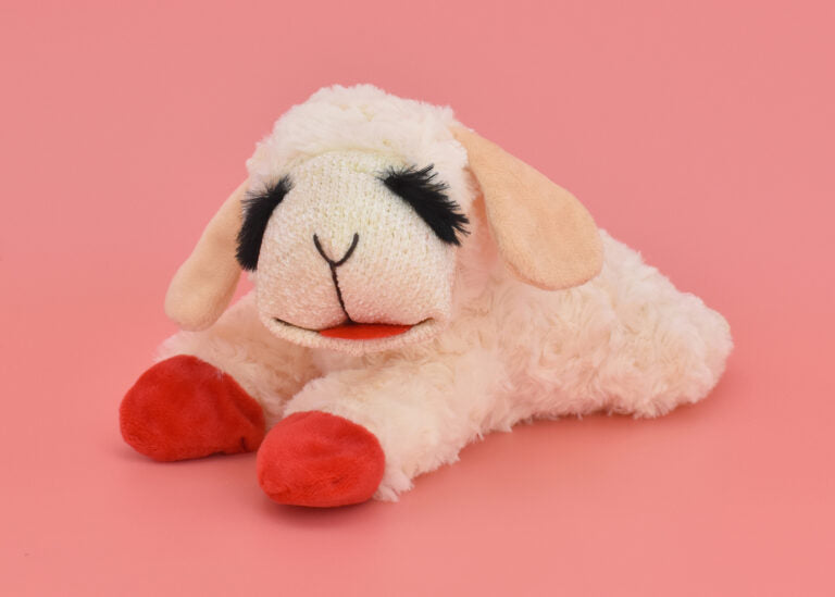 Multipet Lamb Chop for Dogs