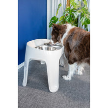 Moderna Skybar Elevated Feeder
