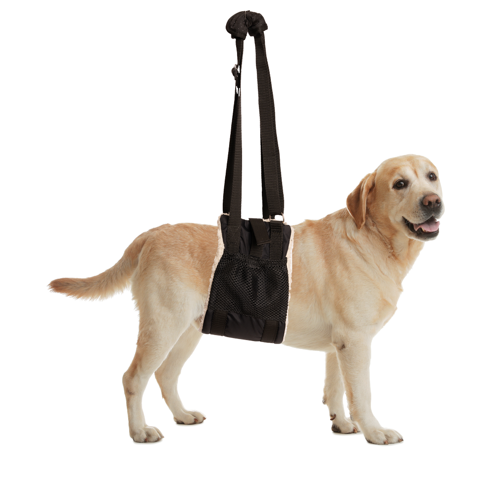 Zen Pet Buddy Lift - Canine Support & Rehabilitation Sling