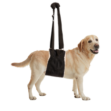 Zen Pet Buddy Lift - Canine Support & Rehabilitation Sling