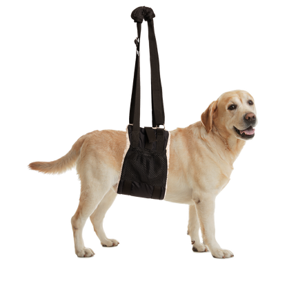 Zen Pet Buddy Lift - Canine Support & Rehabilitation Sling