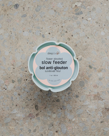 Dexypaws Sage Green Raised Ceramic Cat Bowl with Flower Slow Feeder