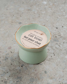 Dexypaws Sage Green Raised Ceramic Cat Bowl