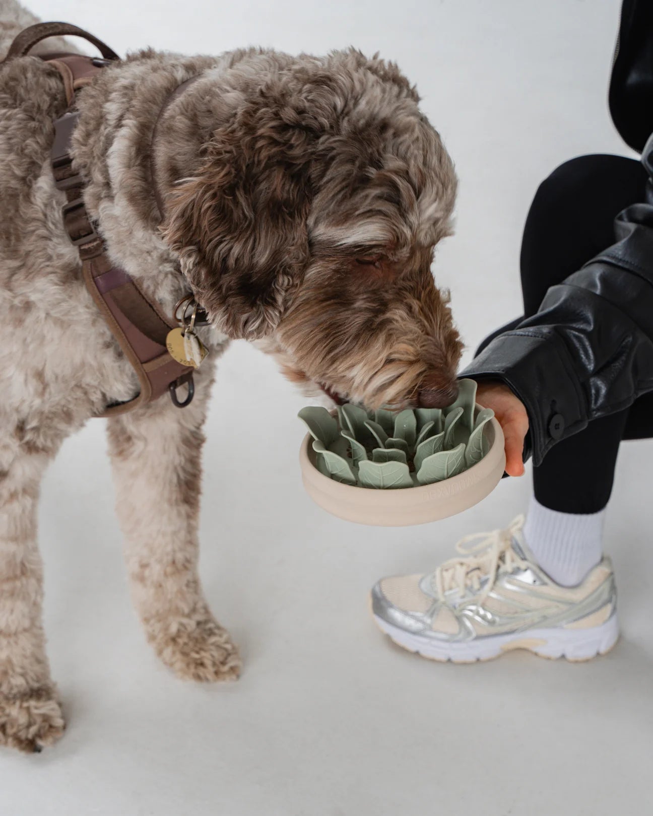 Dexypaws🍁 Planter Silicone Slow Feeder