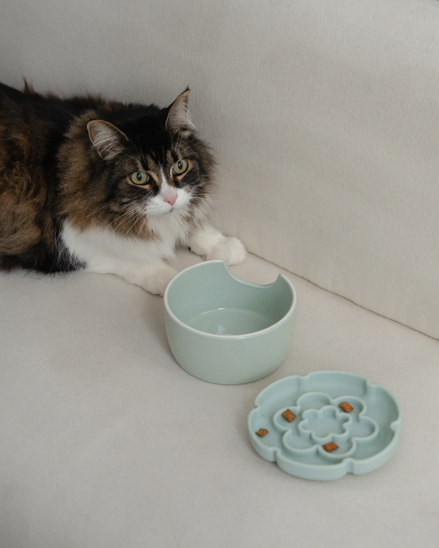 Dexypaws Sage Green Raised Ceramic Cat Bowl with Flower Slow Feeder