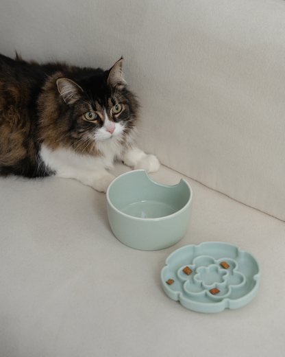 Dexypaws Sage Green Raised Ceramic Cat Bowl with Flower Slow Feeder