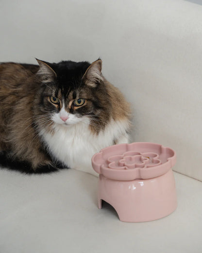 Dexypaws Blush Pink Raised Ceramic Cat Bowl with Flower Slow Feeder