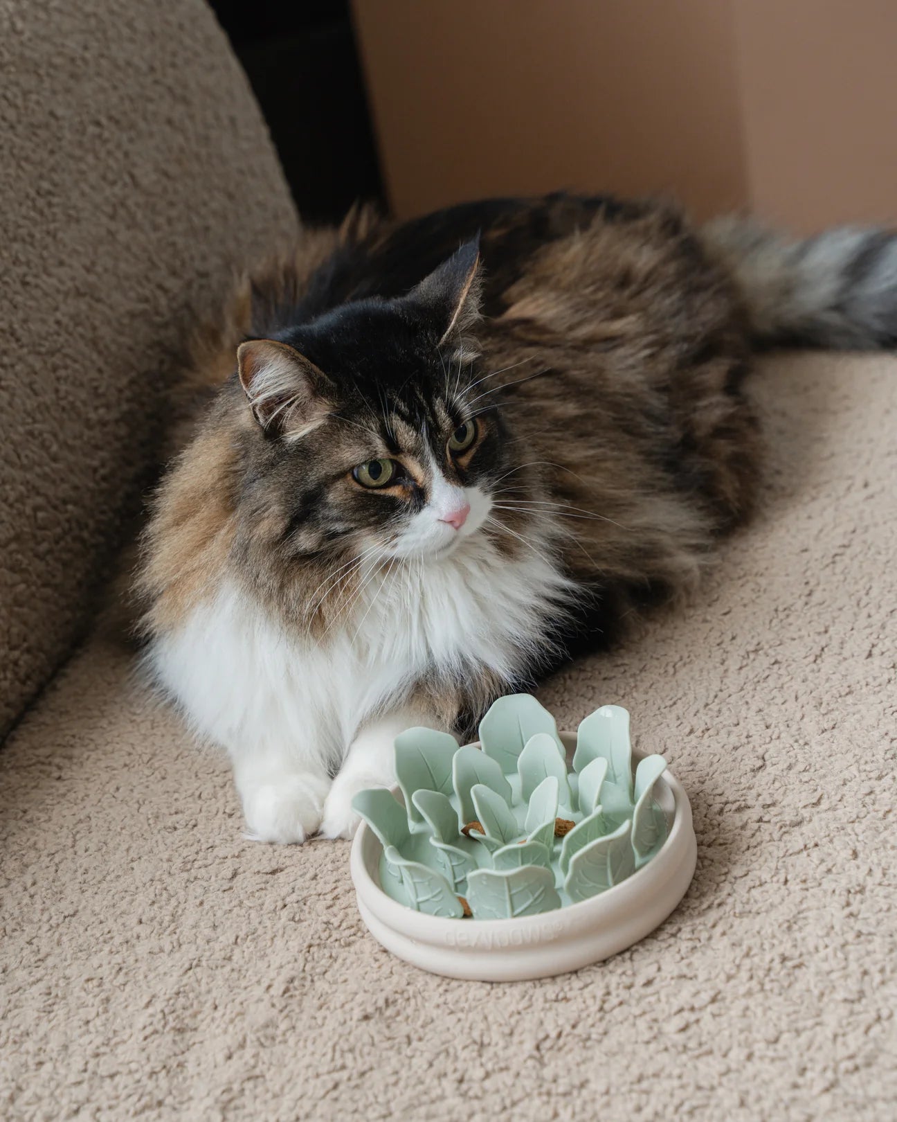 Dexypaws🍁 Planter Silicone Slow Feeder