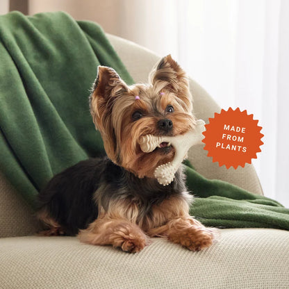 BetterBone Soft Beef Dog Chew for Soft Chewers