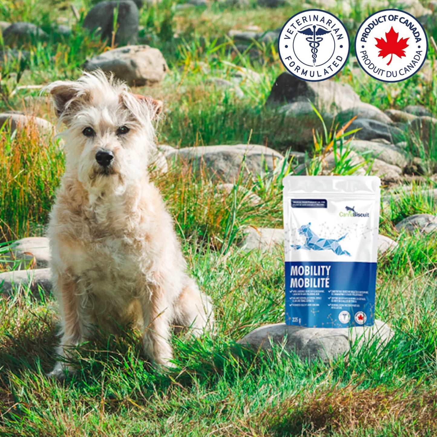 CannaBiscuit 🍁Mobility with Glucosamine & Chondroitin 224g