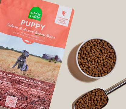 Open Farm® Puppy Salmon & Ancient Grains Dry Dog Food