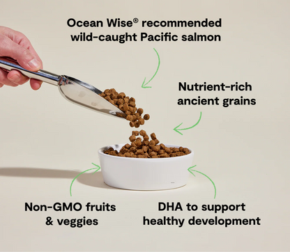Open Farm® Puppy Salmon & Ancient Grains Dry Dog Food