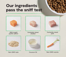 Open Farm® Puppy Ancient Grains Dry Dog Food
