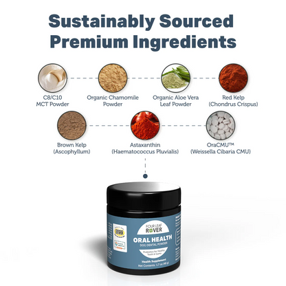 Four Leaf Rover Oral Health 48g