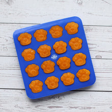 Big Country Raw🍁 Small Blue Fish, Paw & Bone Frozen Treat Mold