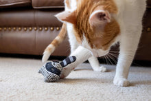 P.L.A.Y Feline Frenzy Bandit Buddies