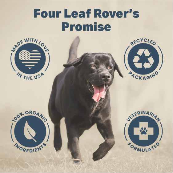 Four Leaf Rover Digest  - Digestive Enzyme Support for Dogs 37g