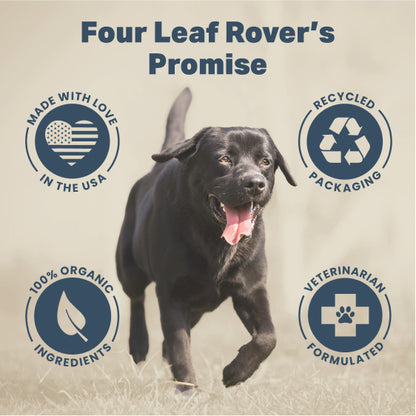Four Leaf Rover Digest  - Digestive Enzyme Support for Dogs 37g