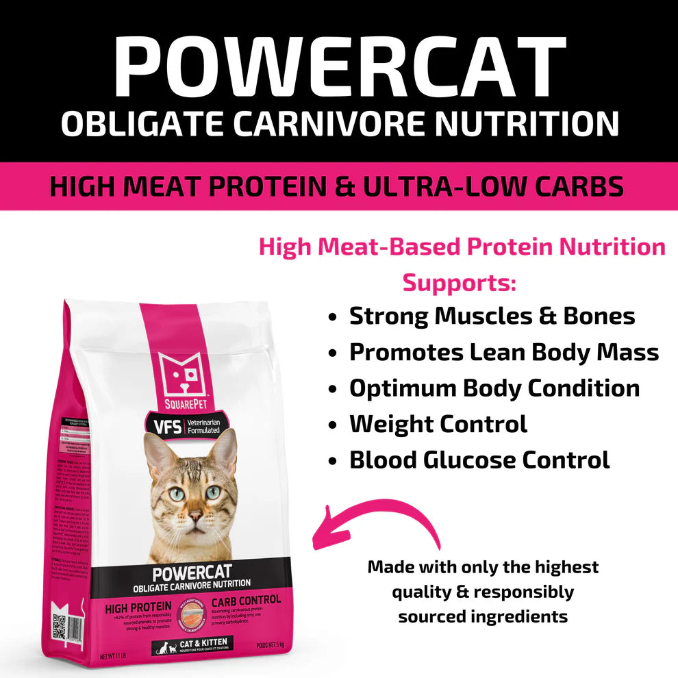 SquarePet PowerCat Herring & Salmon 2kg