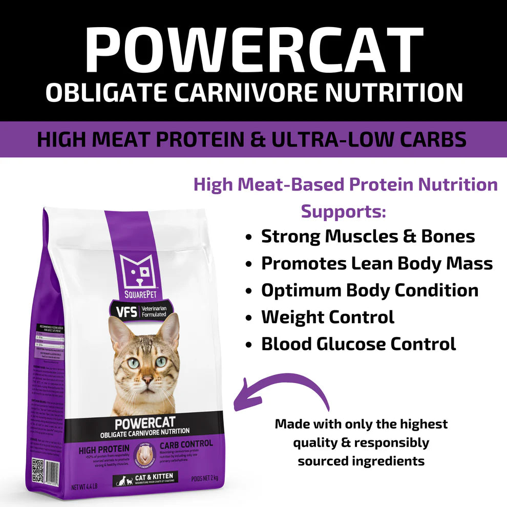 SquarePet PowerCat Turkey & Chicken 2kg
