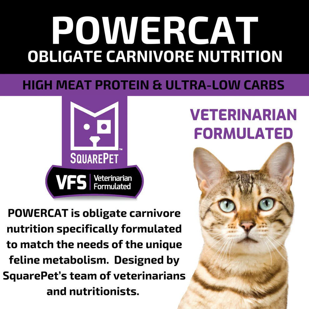 SquarePet PowerCat Turkey & Chicken 2kg