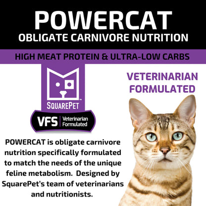 SquarePet PowerCat Turkey & Chicken 2kg