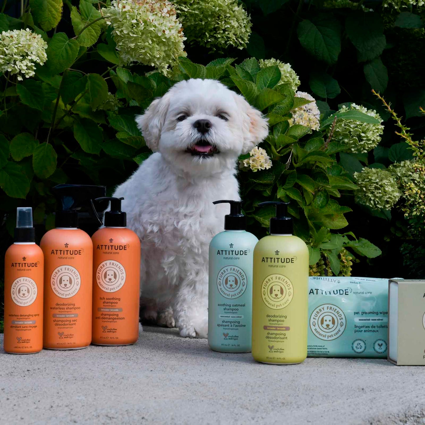 Attitude🍁 Furry Friends Lavender Hypoallergenic Deodorizing Shampoo 16oz