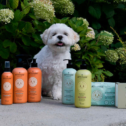 Attitude🍁 Furry Friends Lavender Hypoallergenic Deodorizing Shampoo 16oz