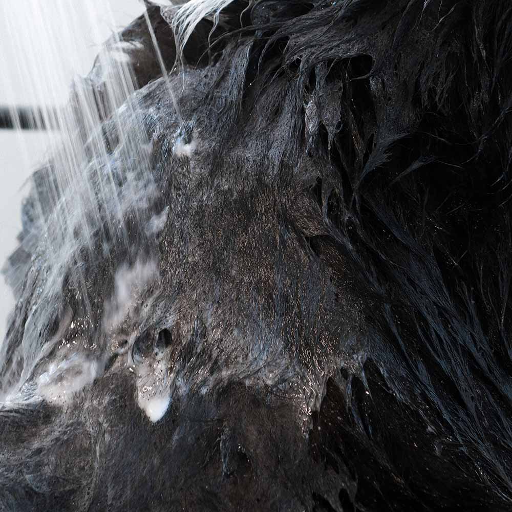 Attitude🍁 Furry Friends Lavender Hypoallergenic Deodorizing Shampoo 16oz