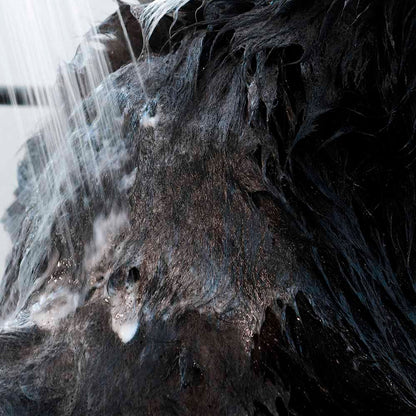 Attitude🍁 Furry Friends Lavender Hypoallergenic Deodorizing Shampoo 16oz