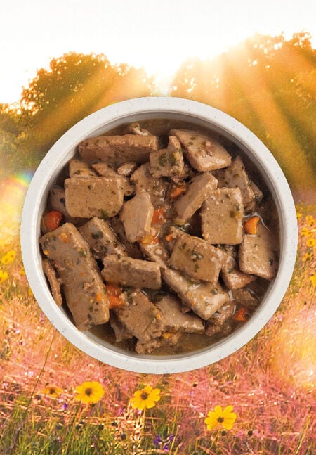 Acana Premium Chunks Beef Recipe in Bone Broth 363g
