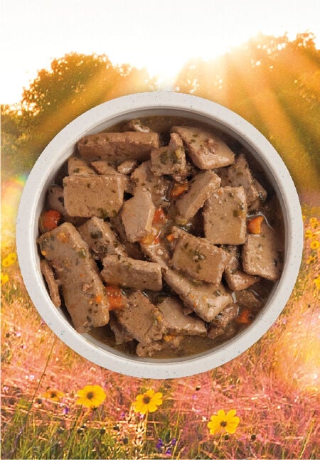 Acana Premium Chunks Lamb Recipe in Bone Broth 363g