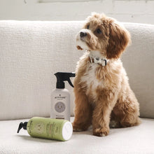 Attitude 🍁Lavender Fabric Refresher 16oz