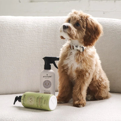 Attitude 🍁Lavender Fabric Refresher 16oz