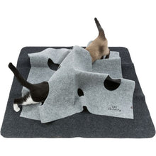 Trixie Adventure Carpet Cat Activity Strategy Game