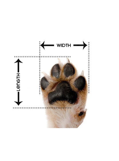 Pretty Paw 🍁Air Tungsten Noir Dog Boots