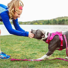 RC Pets🍁 Azalea Momentum Control Harness