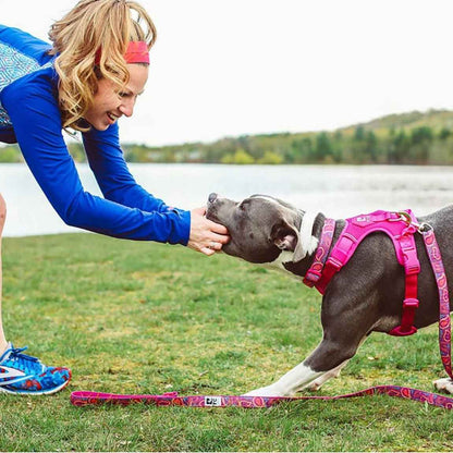 RC Pets🍁 Azalea Momentum Control Harness