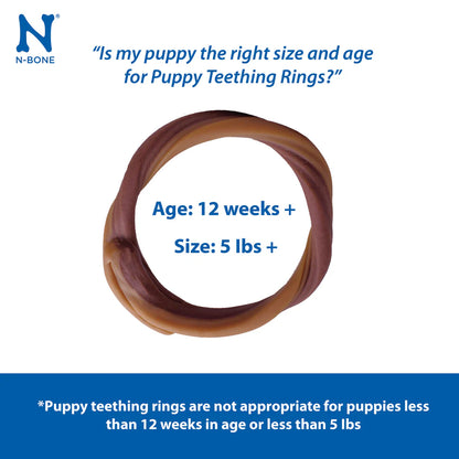 N-Bone Pumpkin Puppy Teething Rings