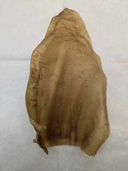 Nature's Own 🍁BIG Beef Ear