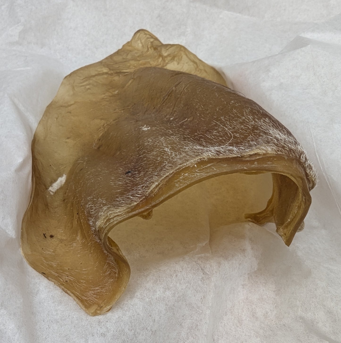 Nature's Own 🍁BIG Beef Ear