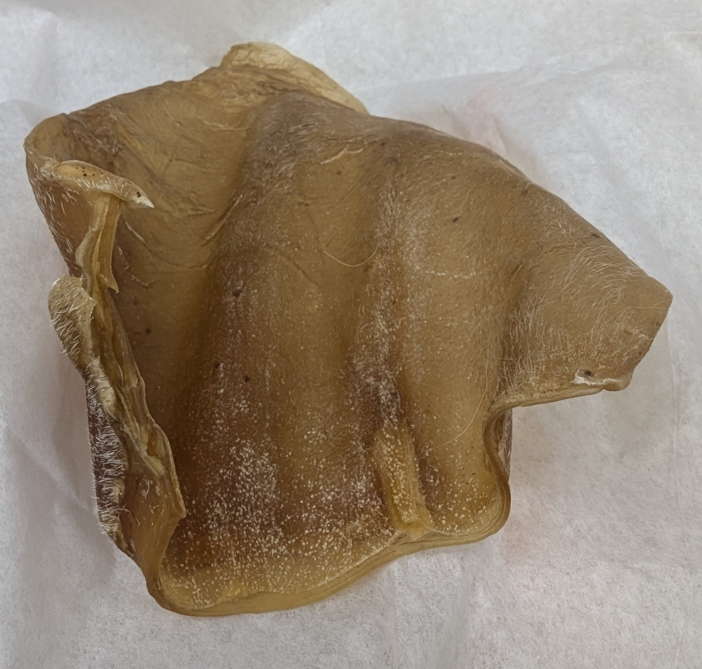 Nature's Own 🍁BIG Beef Ear