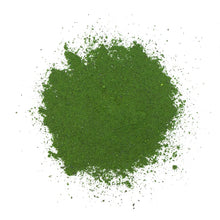 Adored Beast🍁 Apothecary Phyto Synergy 15g