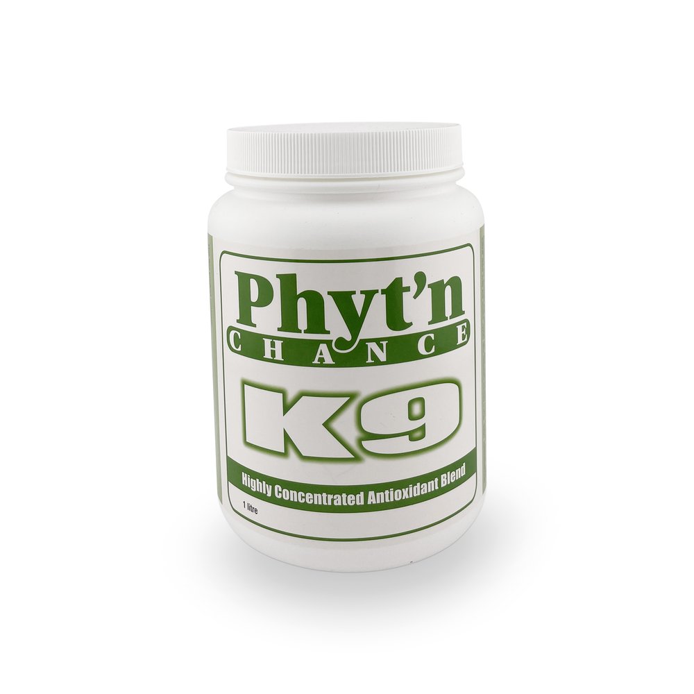 Feed-Sentials🍁Phyt'N Chance - Highly Concentrated  Antioxidants