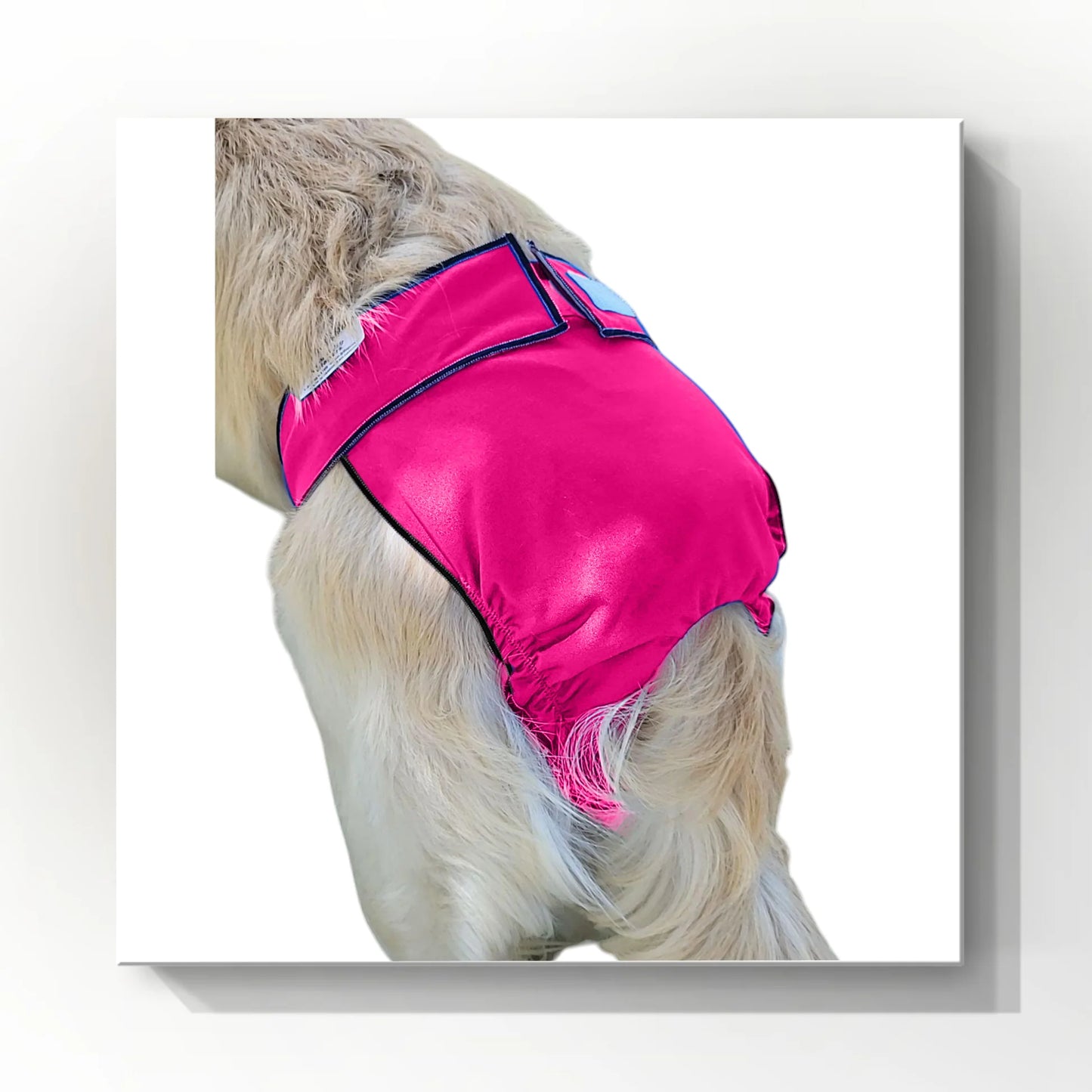 Jack & Jill🍁Female Dog Diapers Pink