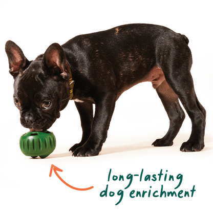 Woof Beef Pupsicle Refill Pops