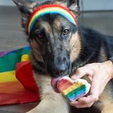 Bosco & Roxy's🍁 Pride Heart | Pride & Family