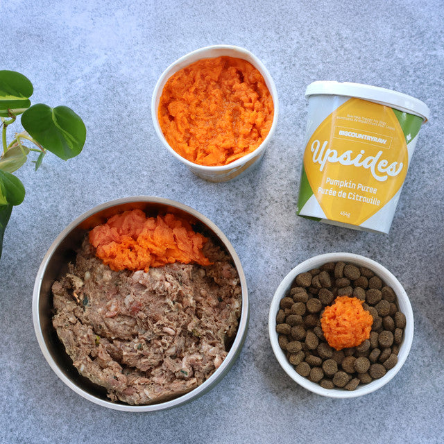 Big Country Raw 🍁Upsides Pumpkin Puree Meal Topper - 454 g
