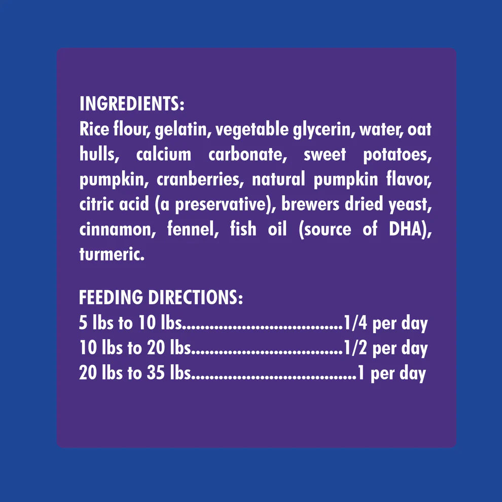 N-Bone Pumpkin Puppy Teething Rings
